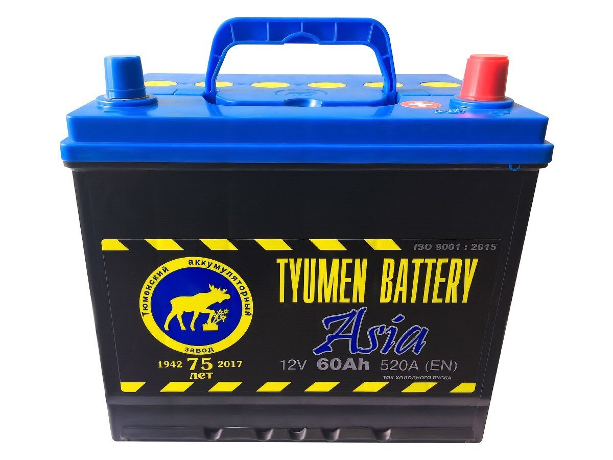 Аккумуляторы петербург. Аккумулятор Tyumen Battery 60ah. Tyumen Battery Asia 60 Ач обр. Пол. 550a (232x173x225). Аккумулятор Tyumen 60 Ah 550 a Battery Asia ОП. Аккумулятор Tyumen Battery Standard 60 Ач.